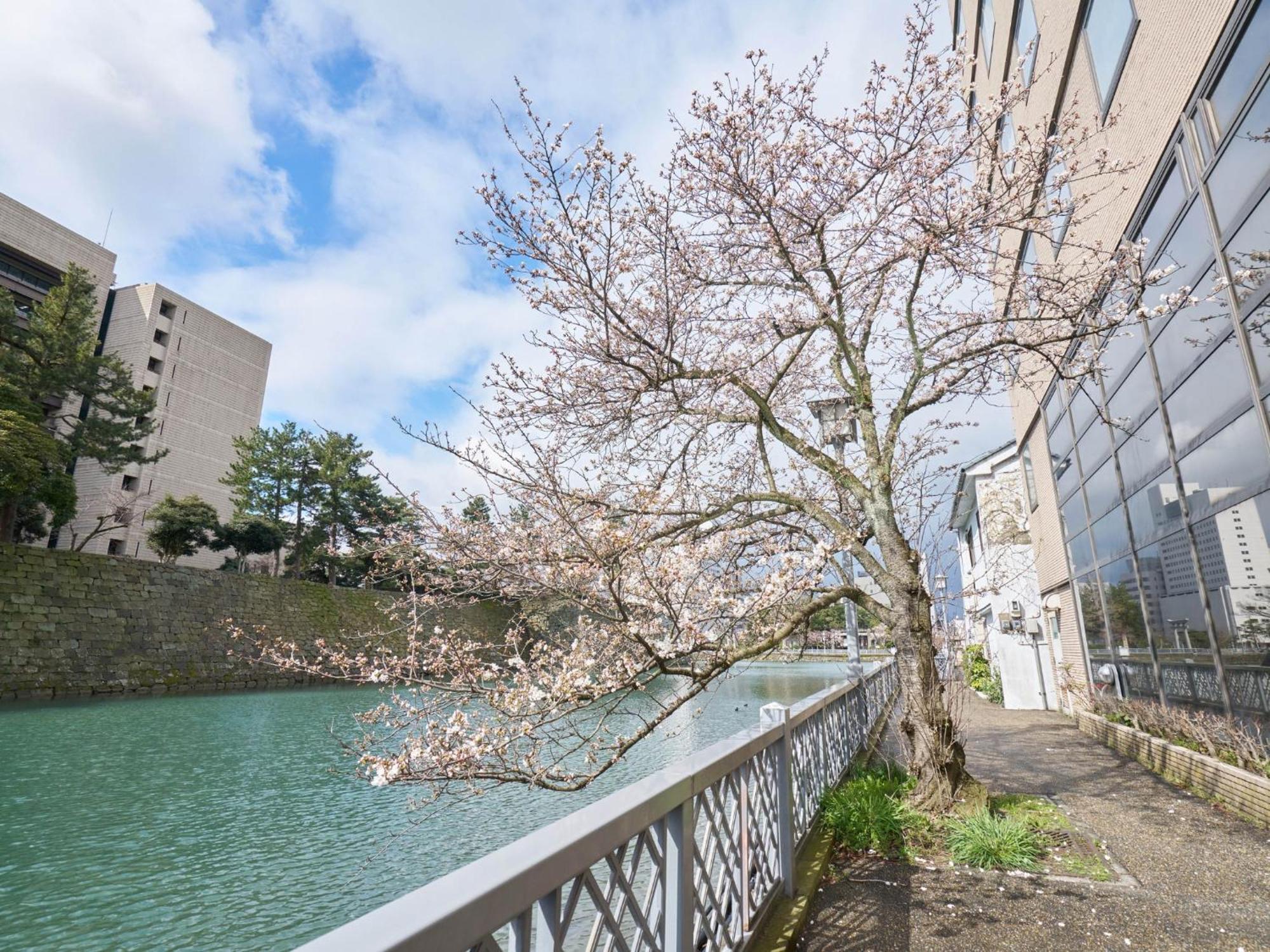 Hotel Fukui Castle - Vacation Stay 58696V Eksteriør bilde