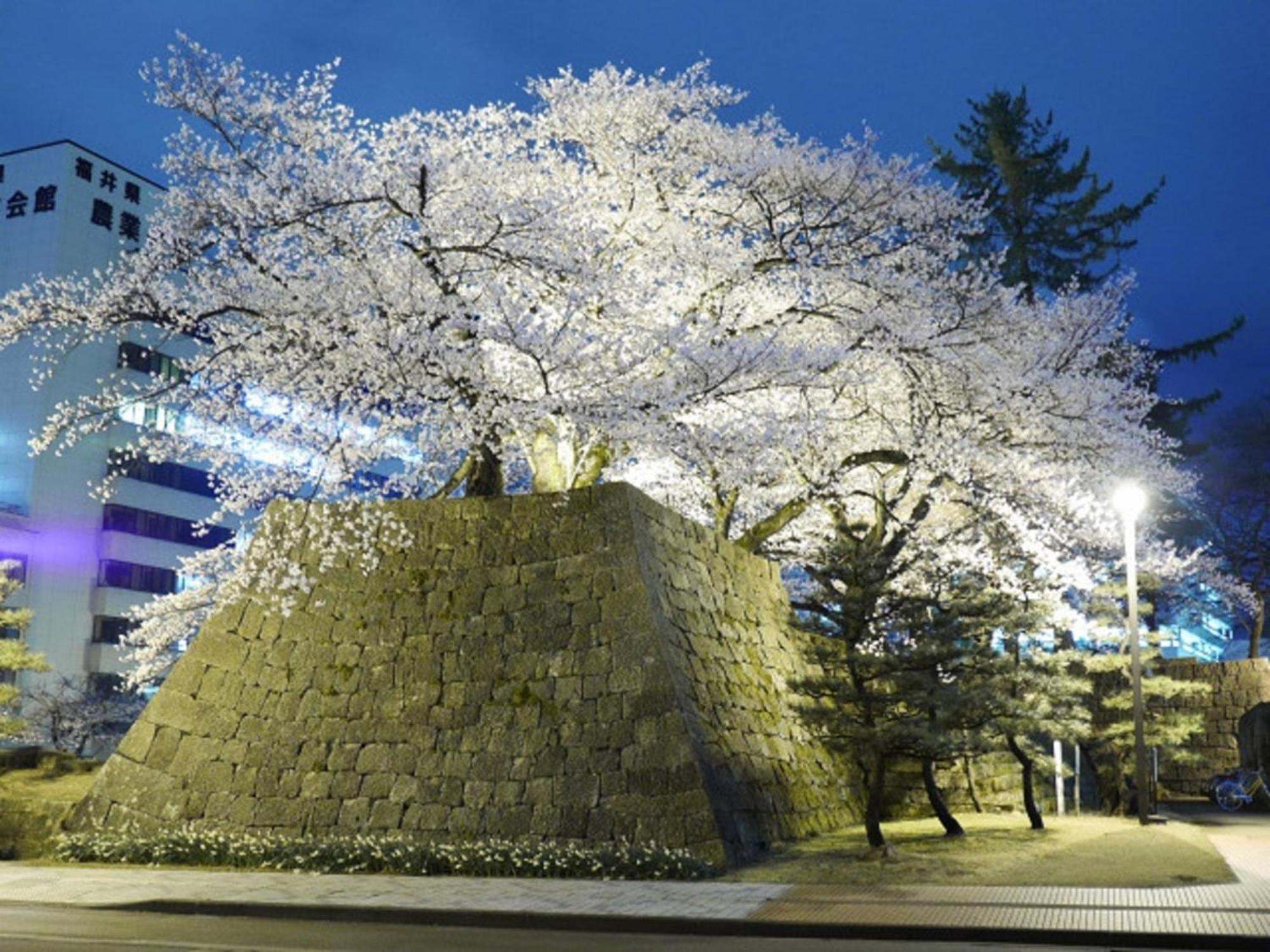 Hotel Fukui Castle - Vacation Stay 58696V Eksteriør bilde