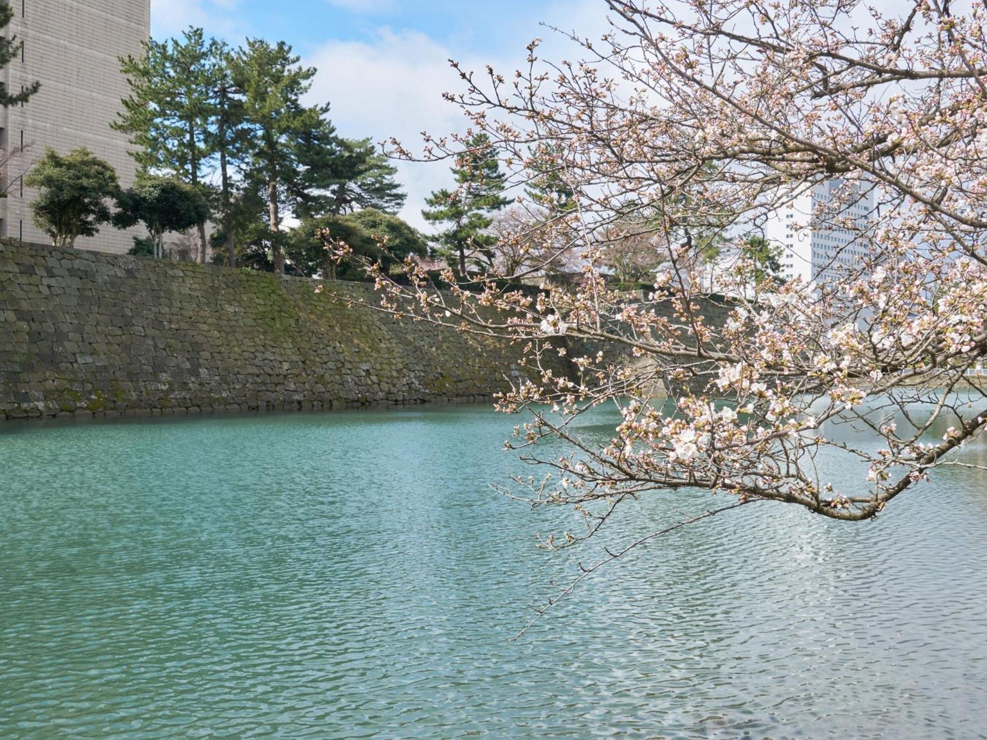 Hotel Fukui Castle - Vacation Stay 58696V Eksteriør bilde